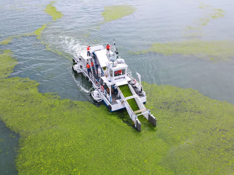 Лодка для сбора водных сорняков, лодка для очистки воды, скиммер для мусора.
