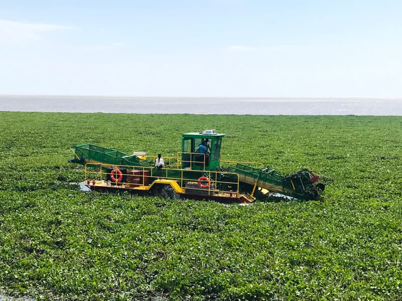 Лодка для сбора водных сорняков, лодка для очистки воды, скиммер для мусора.