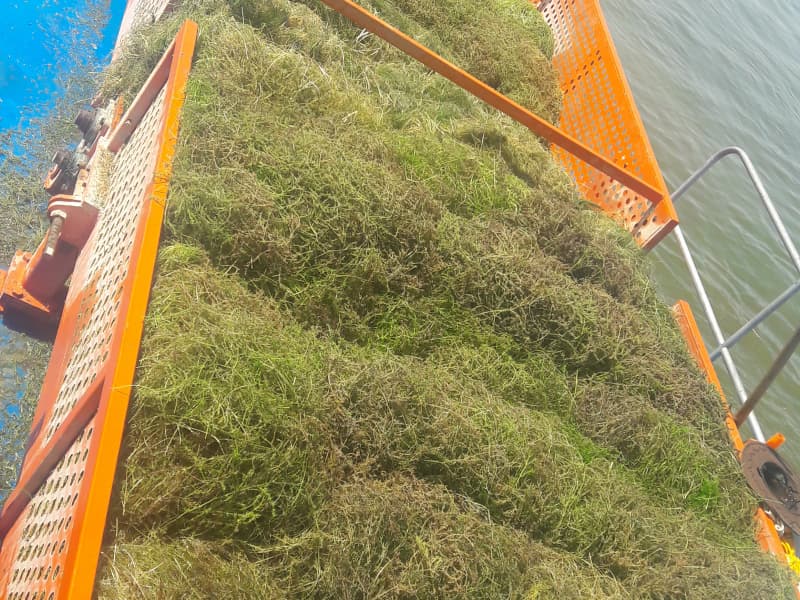 Автоматическая система очистки воды / Судно для сбора водных сорняков / Лодка-скиммер для мусора